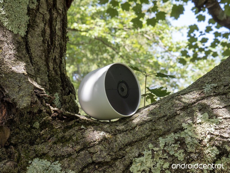 Nest Cam 2021 Battery In Tree