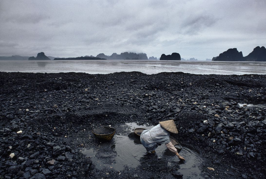 Una mujer busca carbón a lo largo de la costa