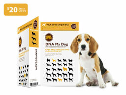 Prueba de identificación de la raza DNA My Dog - $ 59.99
