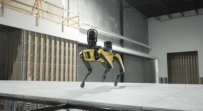 perro robot de alambre 2021