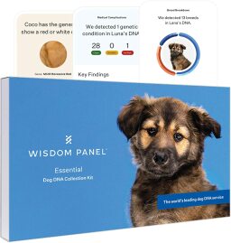 caja de arte del panel de sabiduría kit de prueba de adn para perros premium