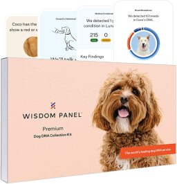 caja de arte del panel de sabiduría kit de prueba de adn para perros premium
