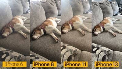 perro de comparación de la cámara del iphone