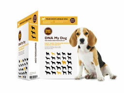 las cajas de prueba de adn de mi perro y un beagle