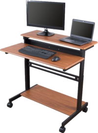 Sstandup Adjustable Desk Reco