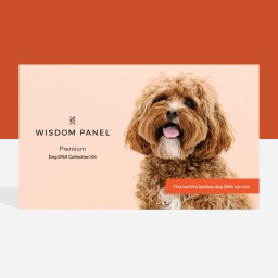 Kit de adn premium Wisdom Panel