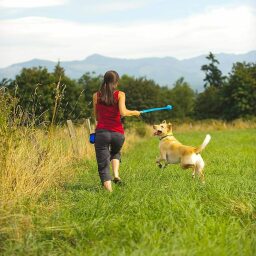 Mujer jugando a buscar con perro