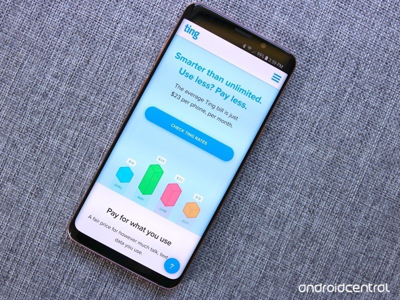 Ting website on a Galaxy S9