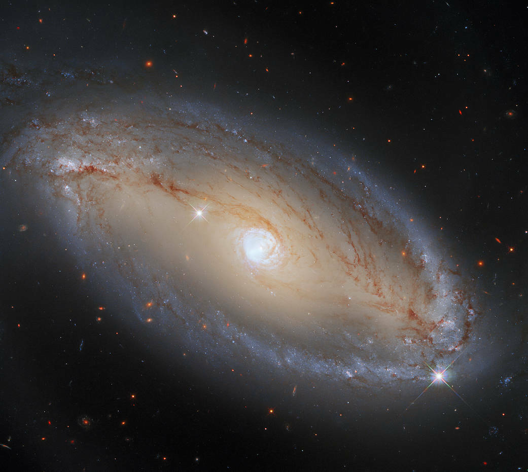 La vívida galaxia NGC 5728.