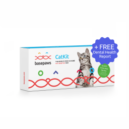 Kit de salud dental y prueba de ADN para gatos de Basepaws