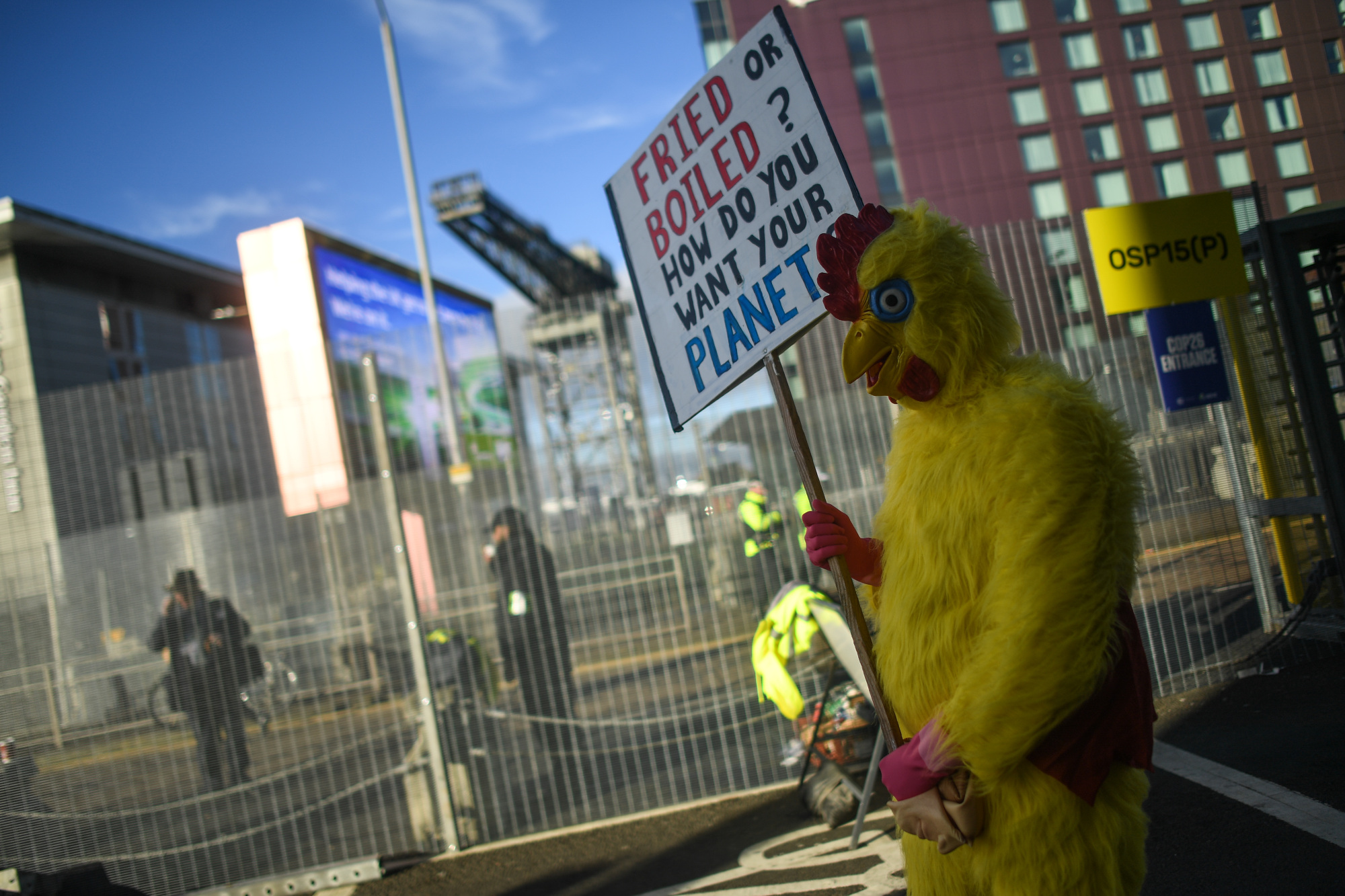 Un manifestante disfrazado de pollo marcha fuera de la cumbre.