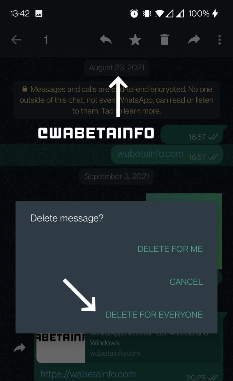 Extensión Whatsapp Delete For Everyone