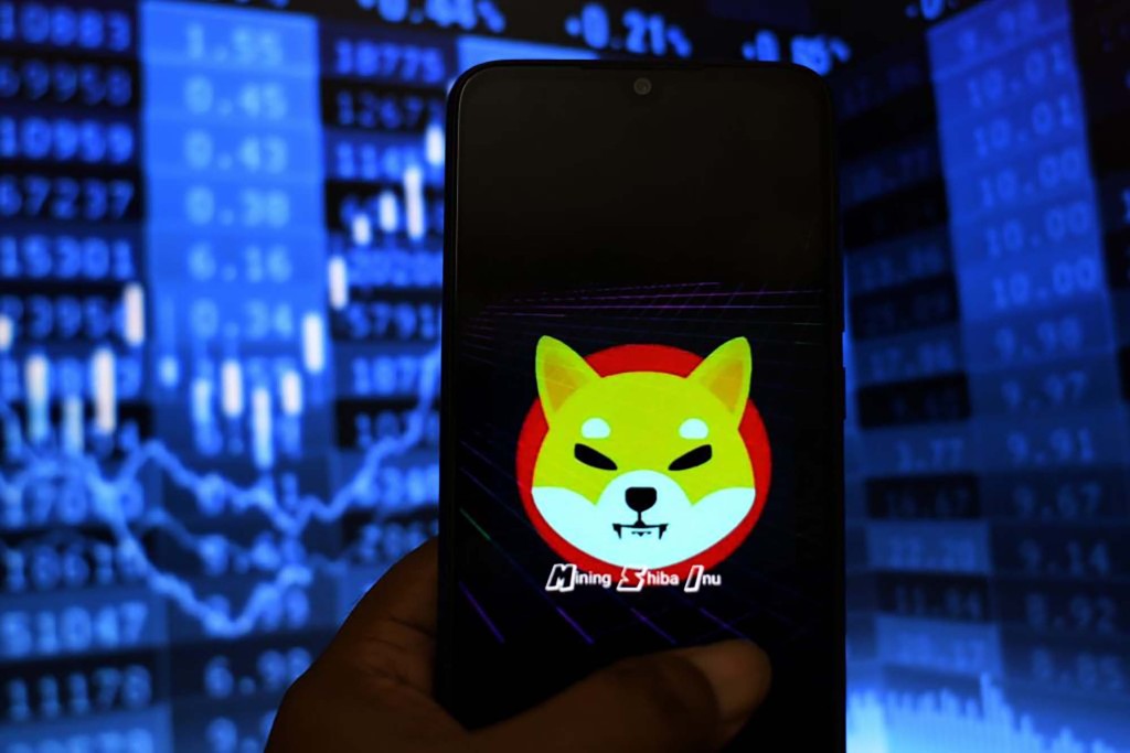 El logotipo de Shiba Inu se muestra en un teléfono inteligente contra los números de stock.