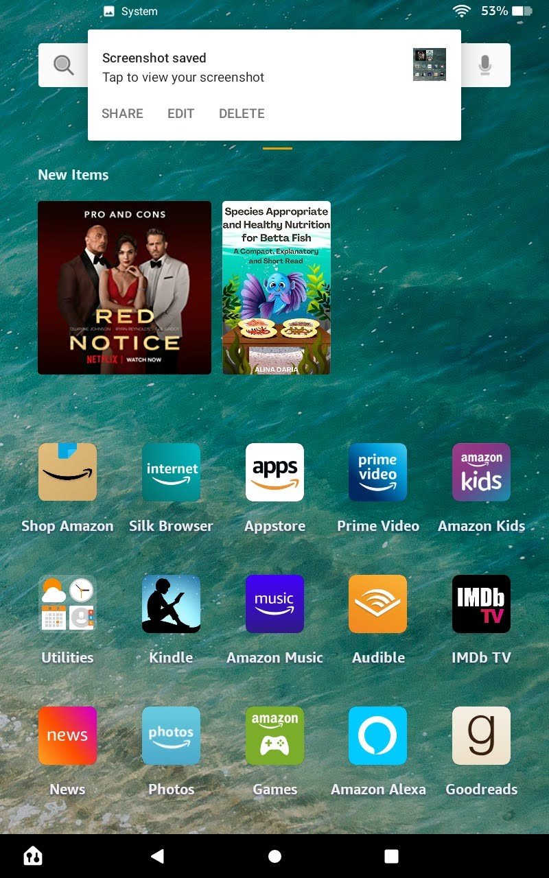 Captura de pantalla de la tableta Amazon Fire