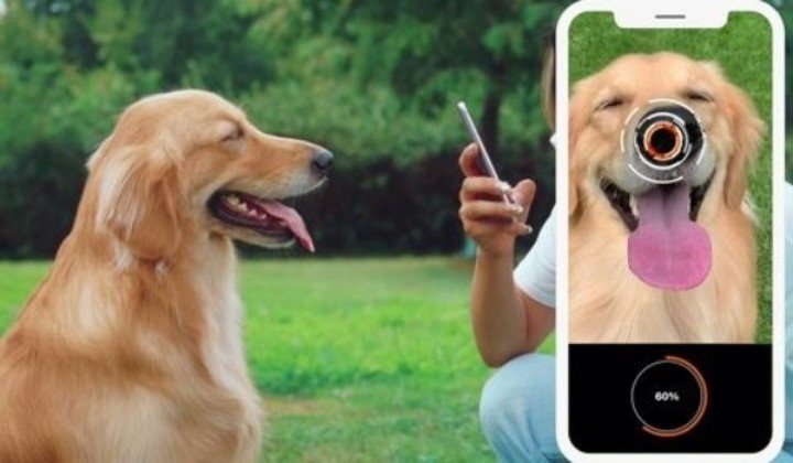 Petnow, el identificador de nariz para localizar perros.  Foto: Petnow.