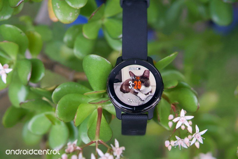 The Garmin Venu 2 Plus with a custom watchface of a cat