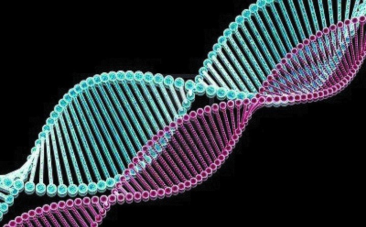 Representación artística de la estructura de doble hélice del ADN, la clave de la herencia.