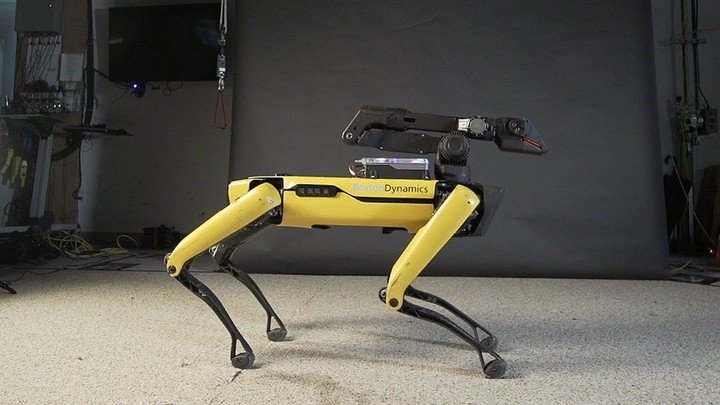 Los perros de Boston Dynamics serán parte del equipo de rescate.