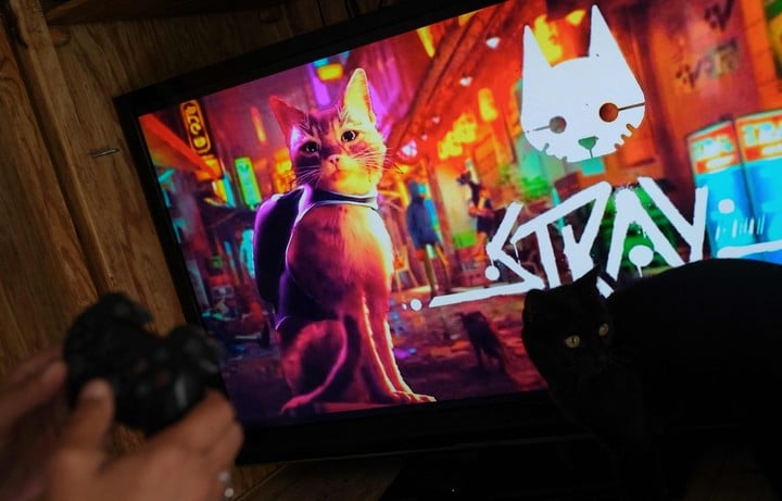 Stray, el juego donde manejamos a un gatito.  foto AFP