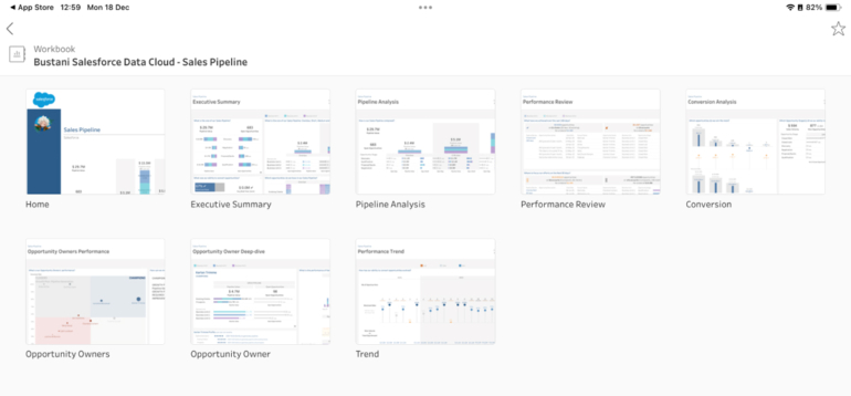 Un panel de Tableau Mobile en iPadOS.