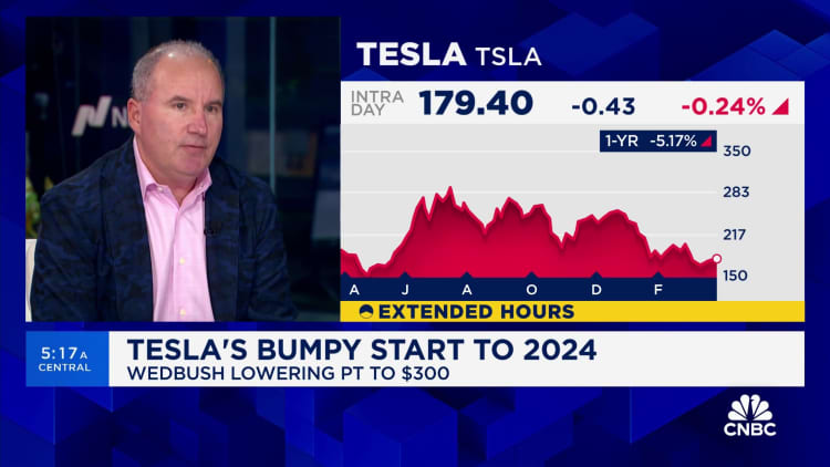 Tesla está pasando por una 'situación de código rojo' en este momento, dice Dan Ives de Wedbush