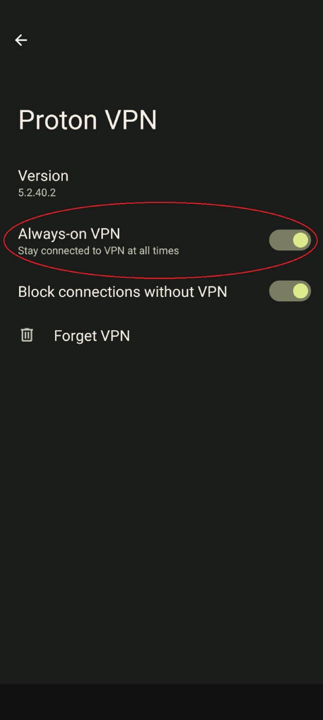 Una captura de pantalla de la pantalla de configuración de VPN de Android con la opción VPN siempre activa encerrada en un círculo.