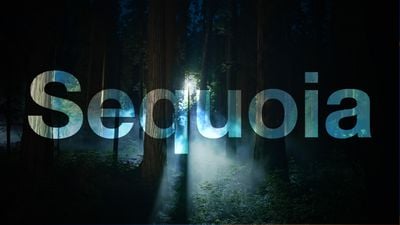 Función nocturna de macOS Sequoia